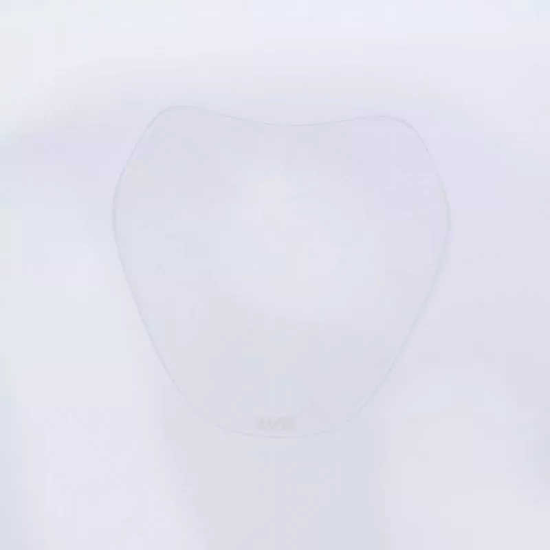 R&G Scheinwerferschutz für BMW R 1250 R 2019-