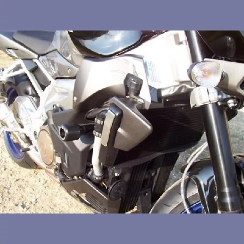 R&G Racing Sturzpads Set Aprilia Tuono ab 2006-2010