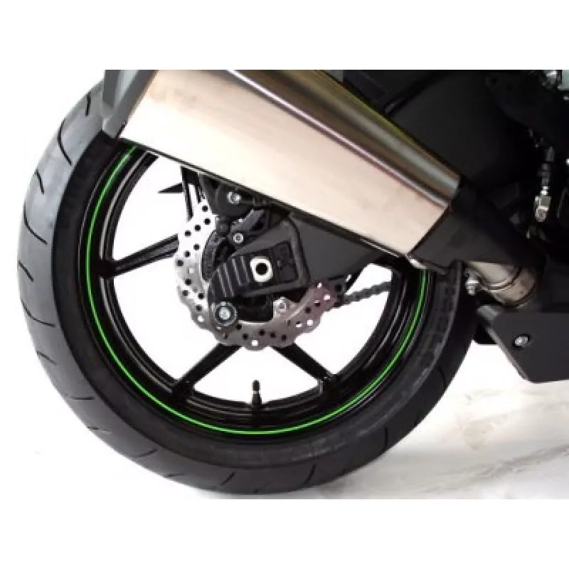 R&G Racing Schwingen Protektoren Kawasaki ZX-10 R 2004-2010