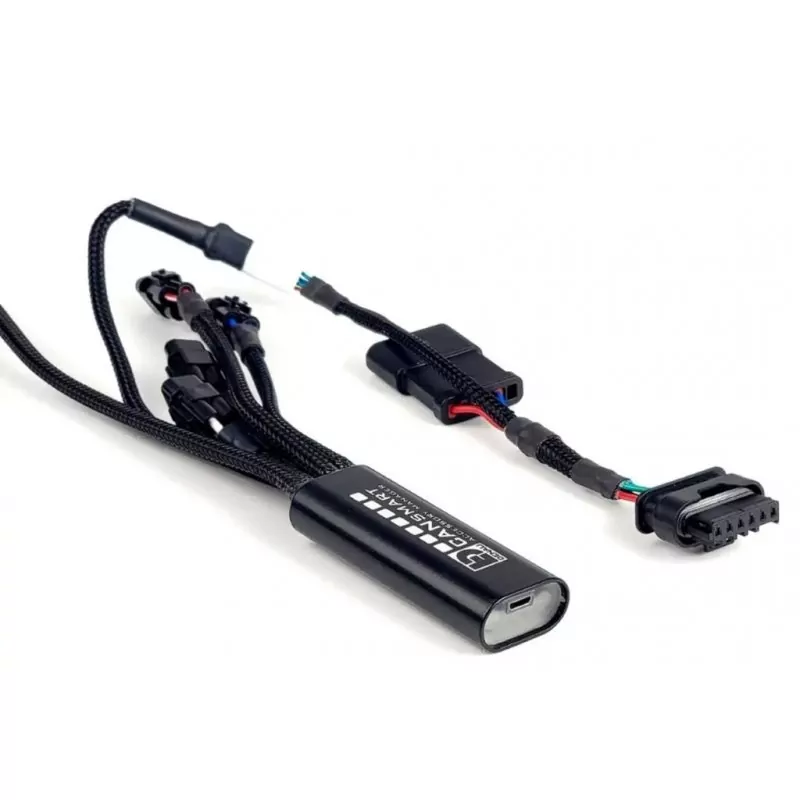 DENALI 2.0 Plug-n-Play CANsmart Controller for BMW R 1300 GS | Adventure