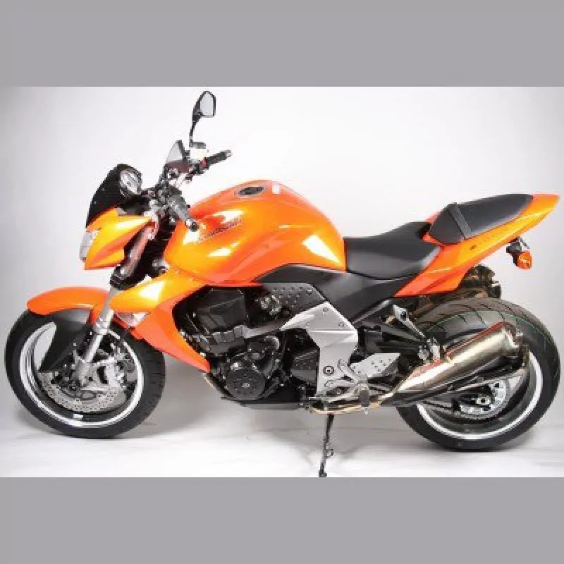 R&G Racing Auspuff Protektoren Kawasaki Z 1000 2007-2009