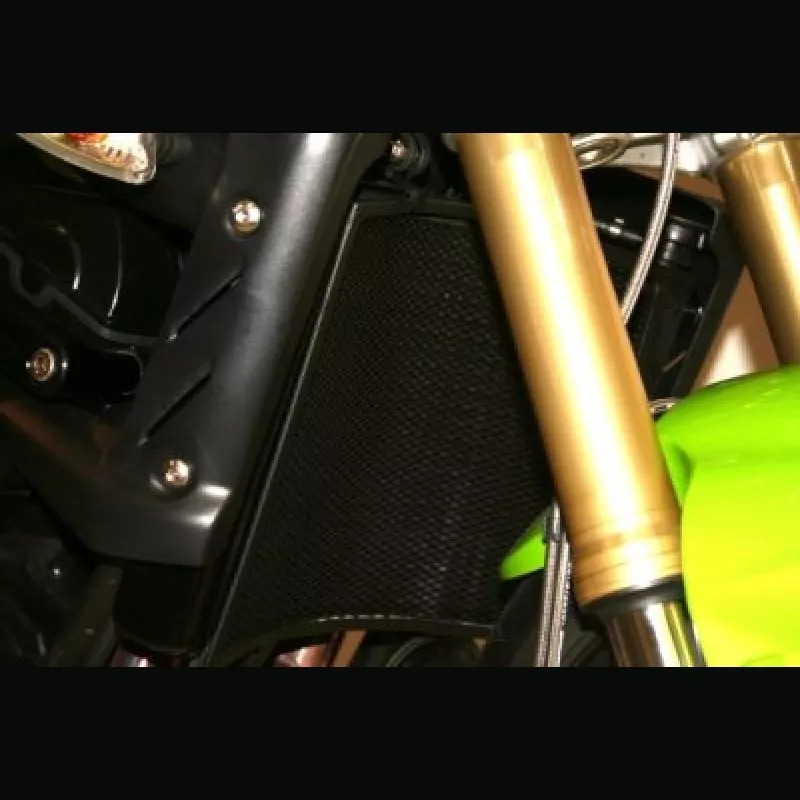 R&G Racing Kühlergitter Triumph Street Triple 675 / 675 R 2007-2012