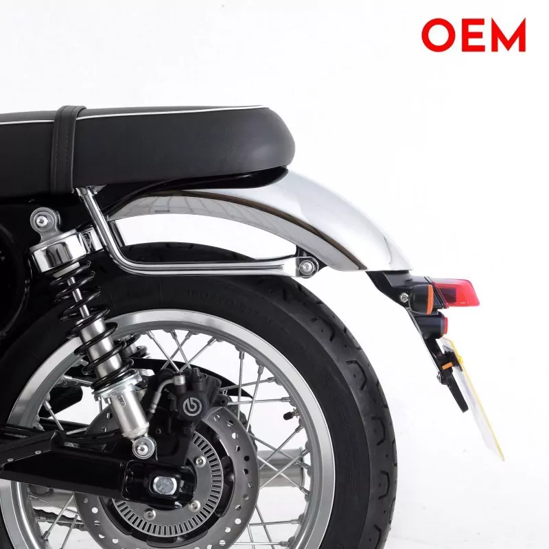 R&G Premium Kennzeichenhalter BSA Gold Star 2023-