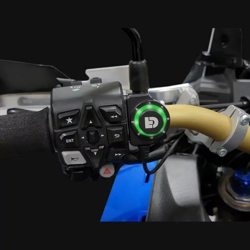 DENALI DialDim Lighting Controller für Honda CRF 1100 L 2020-