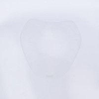 R&G Scheinwerferschutz passend für BMW R 1250 R ab 2019 R&G Scheinwerferschutz passend für BMW R 1250 R ab 2019