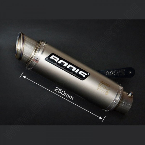 Bodis GP1-R Auspuff Titan Endschalldämpfer passend für BMW S 1000 RR 09-14