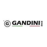 Gandini Racing 520 Ritzel passend für Aprilia RSV 4 / Tuono V4 Gandini Racing 520 Ritzel passend für Aprilia RSV 4 / Tuono V4
