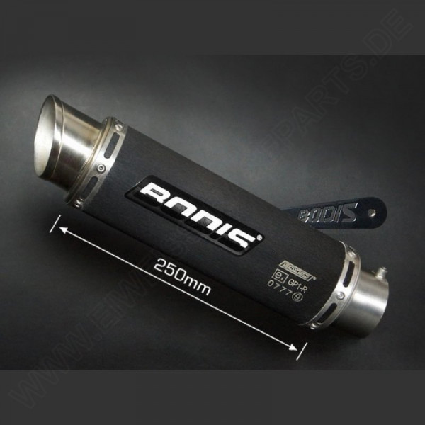 Bodis GP1-R Black Auspuff passend für BMW S 1000 RR 09-14