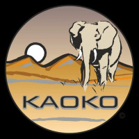 Kaoko Gasgriff-Arretierung passend für BMW G 310 GS / R Modelle ohne Handschutz Kaoko Gasgriff-Arretierung passend für BMW G 310 GS / R Modelle ohne Handschutz