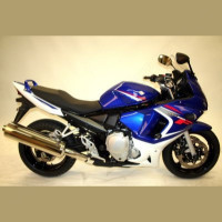 R&G Racing Sturzpads No Cut passend für Suzuki GSX 650 F 2008-2009 R&G Racing Sturzpads No Cut passend für Suzuki GSX 650 F 2008-2009