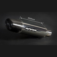 Bodis Q1 Endschalldämpfer passend für Honda CBR 1000 RR 2004-2007 SC57 Bodis Q1 Endschalldämpfer passend für Honda CBR 1000 RR 2004-2007 SC57