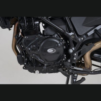 R&G Lichtmaschinen Protektor passend für BMW F 700 GS ab 2013 R&G Lichtmaschinen Protektor passend für BMW F 700 GS ab 2013